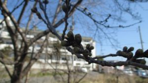 IMG_1500_m
