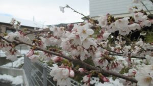 IMG_1509_m