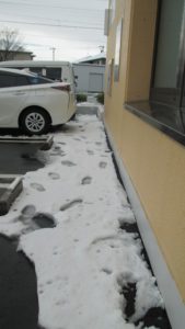 IMG_1514_m